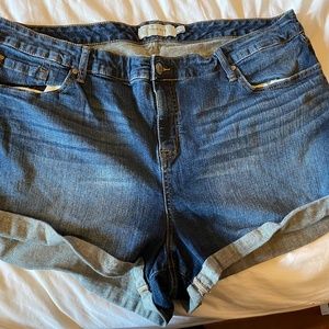 Torrid Jean Short